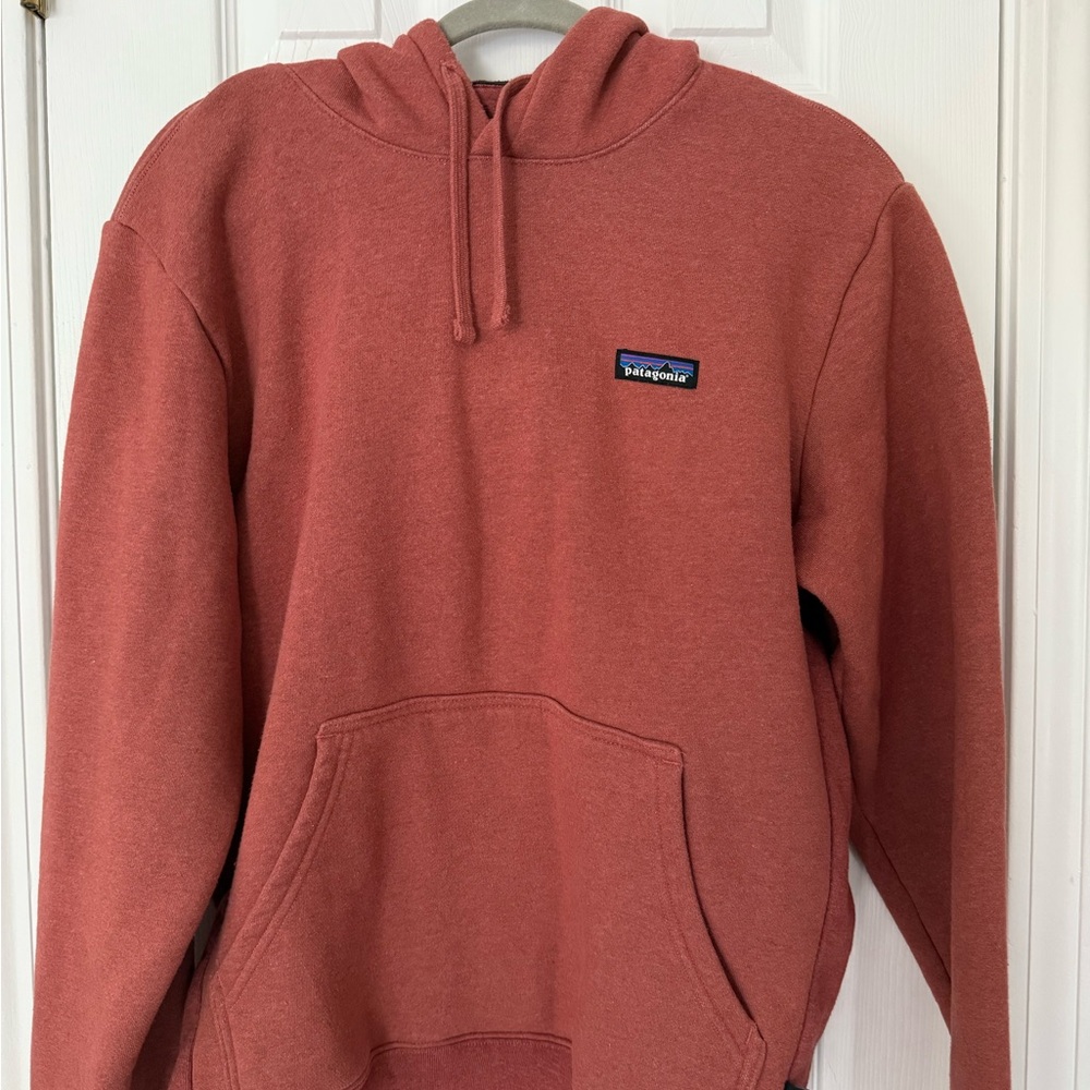 Patagonia Hoody Sweatshirt UpRisal Fleece Pullover Logo Graphics Men's M    EUC